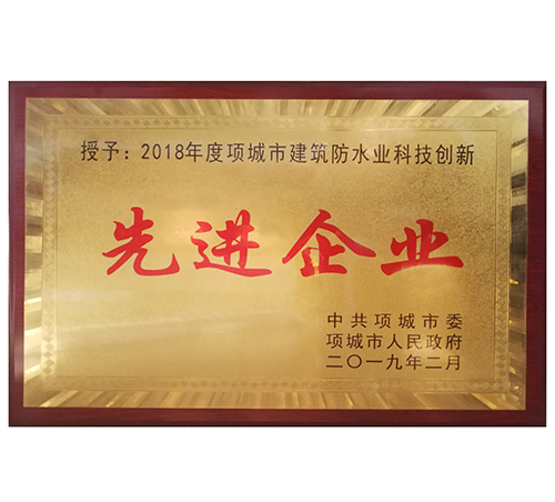 项城市先进企业证书
