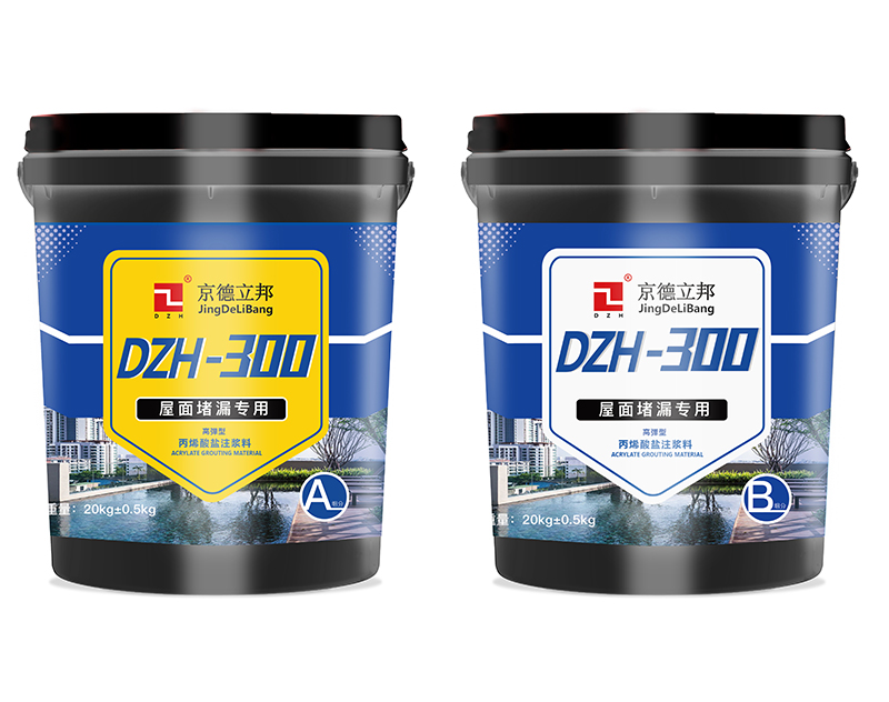 DZH丙烯酸盐300.jpg